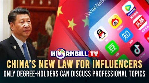 China’s New Law For Influencers: Only Degree-Holders Can Discuss Professional Topics #ChinaLaw #influencer #DegreeHolder #contents | HornbillTV