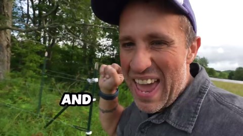 Farm animals caught red-handed stealing my duck eggs