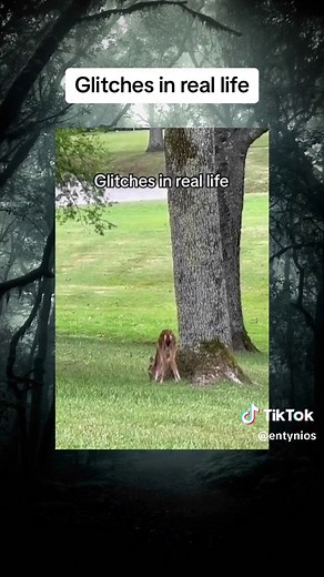 Glitches in the Matrix #glitch #matrix #scary #weird