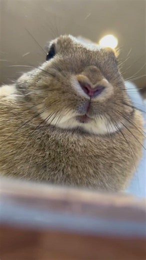 歯小さくてかわいい