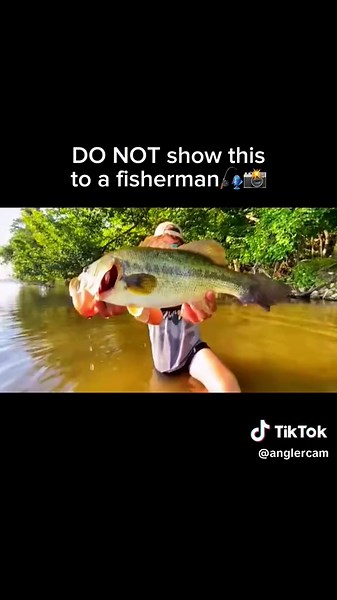 Capture the Best Moments with This Cool Recorder