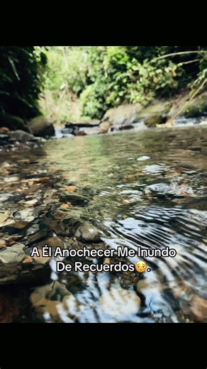 A él anochecer me inundó de recuerdos — Repasando lo que fue