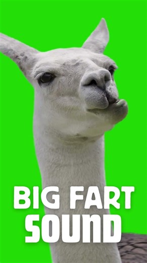 This Big Fart Sound Is Too Funny 💀