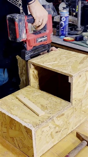 Why Pets Need Bed Climbing Stairs