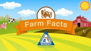 Farm Fact: Aquaculture