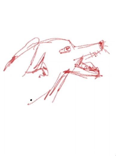 just a sketch #sketch #drawingprocess #artisticexploration #sketching