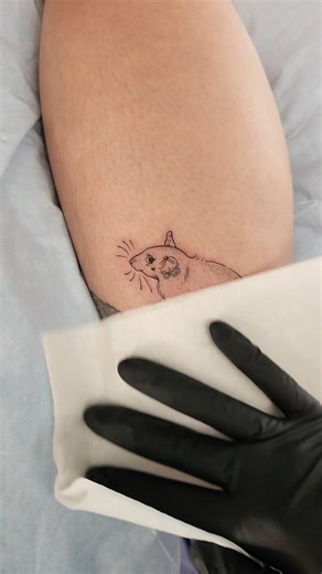 snail 🐌 on Instagram: "rat with a tramp stamp!!!! thank you @rebecca.crossing for this masterpiece 🐀🩷 what do you think? should all tattoos be meaningful? . . . . . . . . . . . . . . . . #trampstamp #tattoo #rattattoo #meaningfultattoo #sillytattoo #tattoomemes #diva #latattoo #socaltattoo #whimsicaltattoo #rat"