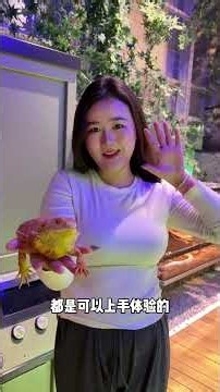 综艺同款！亲子互动挑战沉浸式家庭闯关乐园太有趣好玩了吧！萌呀神兽乐园重庆亲子游萌呀神兽营地亲子乐园室内儿童乐园
