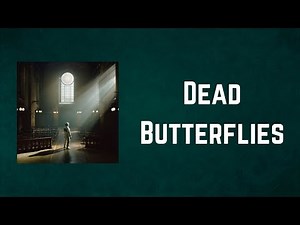Architects - Dead Butterflies (Lyrics)