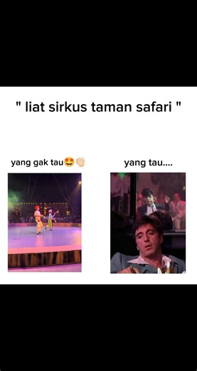 Pertunjukan Sirkus Menarik di Taman Safari