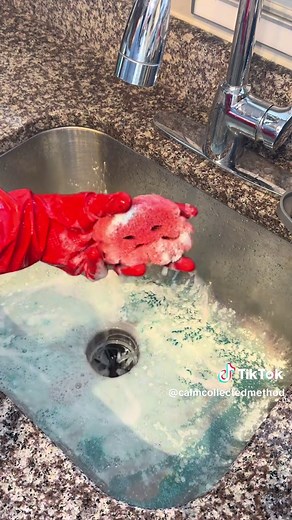 Ultimate Guide to a Clean Kitchen Sink