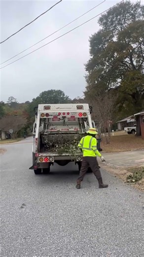 Mini RL #automobile #wastemanagement #garbagetruck #rearloader #freightliner