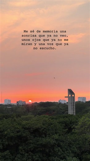 Frases para decir Te extraño a mi abuela y seres queridos