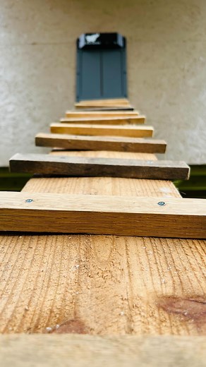 Die Levens | DIY on Instagram: "Natürlich müssen die Hühner auch in ihr Häuschen kommen. Deshalb habe ich kurzerhand eine Hühnerleiter gebaut. Und diese hält wohl auch das schwerste Huhn aus 😉 (unbezahlte Werbung) #chickencoop #chickencoopsofinstagram #chickencoops #hühnerstall #diychickencoop #hühnerleiter #hühnerliebe #hühner #happyhühnergarten #happyhuhn"