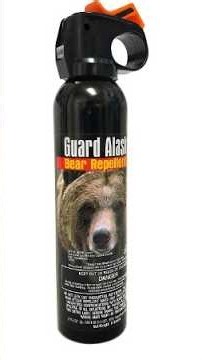 Bear Deterrence: Firearm or Bear Spray? - #hiking #backpacking #bear #bearspray