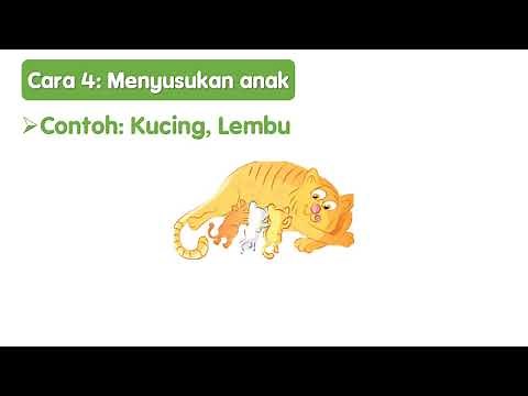 Sains Tahun 2: Cara-Cara Haiwan Melindungi Anak