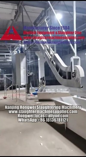 High Tech Modern Pork Plant Pig Abattoir Equipment Hog Slaughter Line Machinery Display Meat Process