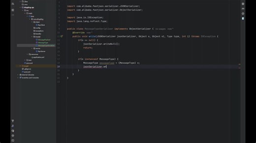 10. FastJson 序列化及反序列化：消息对象及枚举对象 - Java 高阶实战课：自研 RPC 框架，从 0 开始实作轻量级 RPC 框架，构建你的分布