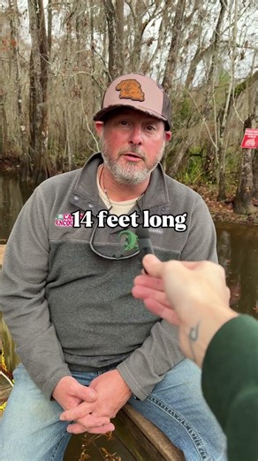 What’s the Biggest Alligator Ever Seen in the Swamp? 🐊 | Louisiana Swamp Tour Captains