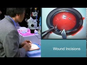 Kitaro WetLab | Demonstration | Exclusive | FCI Cataract