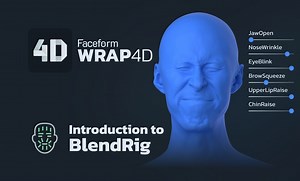 Wrap 4D ！BlendRig 介绍 !