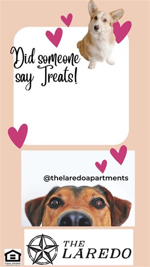 Laredo- Decatur, Tx We have treats for pups and humans!