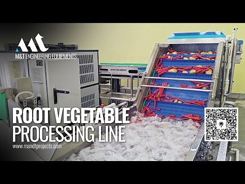 Root Vegetable Processing, Potato Washing Line, Potato Washer, Carrot Washer, Carrot Processing Line