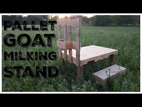 DIY Pallet Goat Milking Stand