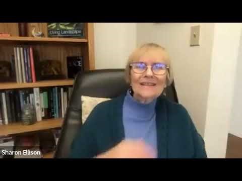 Turning Power Struggle into Constructive Conversation with Sharon Strand Ellison