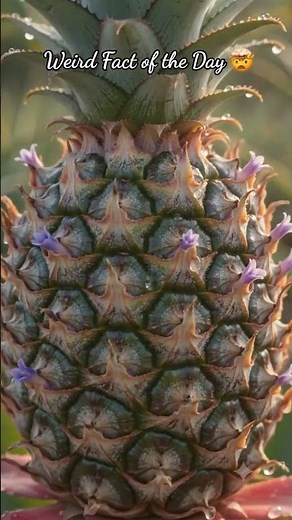 Pineapples Aren't One Fruit 🍍 Scientists Reveal the Shocking Truth! 🤯 #Shorts
