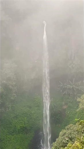 Hidden Waterfall deep in the forest, you won’t believe this view