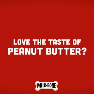 Yummy new Milk-Bone Dipped and Chunks dog treats are here! Make #MilkBoneLife crunchy and even tastier with our latest treats. http://spr.ly/6189yT4xl | Milk-Bone