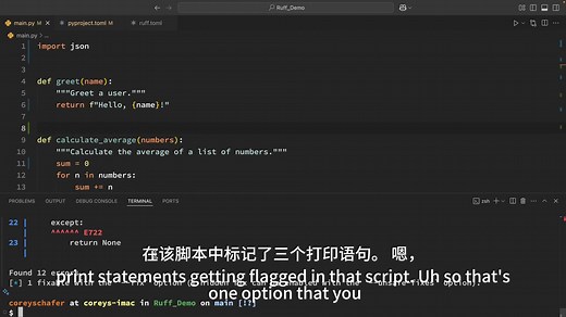 Python 教程：认识代码神器 Ruff！一个快如闪电的检查和格式化工具，告别繁琐配置，轻松提升代码质量