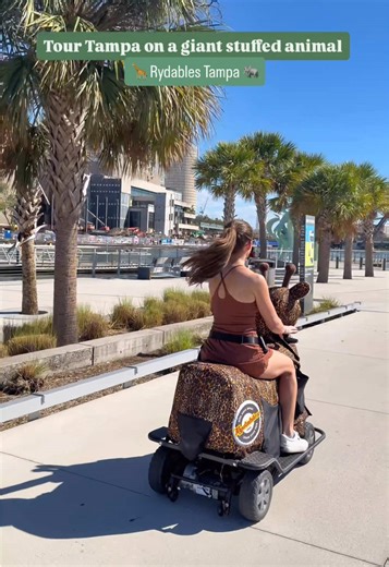 The most fun & unique way to tour Tampa! 🦒🐘 We had the best time trying out @Rydables Tampa Bay! It’s such a unique & hilarious way to explore the city and is a fun alternative to just grabbing dinner and drinks! 🎟️ tampabayrydes.com #whenintampa #tampabay #tampatours #visittampabay #rydablestours