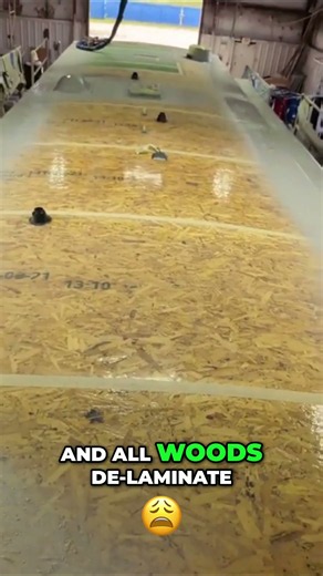 Does Wood Type Stop RV Roof Rot? #flexarmor #rvroof
