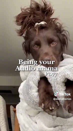 Captivating Skye Sound: Viral Audio Mamas