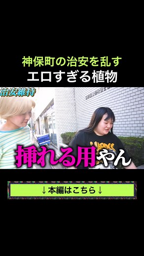 神保町を偵察するオダウエダ