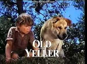 Opening To The Three Lives Of Thomasina 1996 VHS