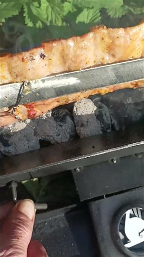 Automatic grill with coal blower, 5 volts смарт