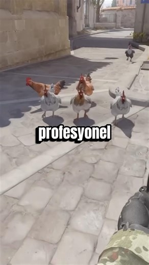 Tavukların Gizli Görevi! 🐔🔫