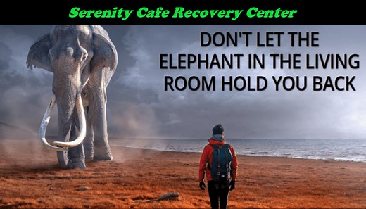 Stages of Change and Recovery Wheel