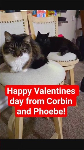 Happy Valentines day from Corbin and Phoebe!