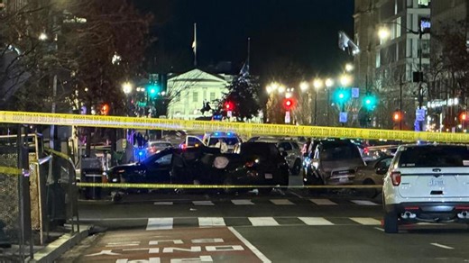 'Car flies by going 50, 60 miles an hour': Deadly high-speed crash near White House kills pedestrian