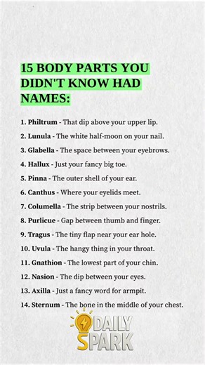 15 Body Parts With Hidden Names