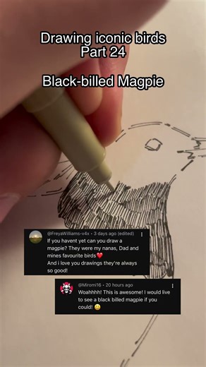Black-billed magpie: Drawing iconic birds - Part 24 #drawing #traditionalart #art #birds #magpies