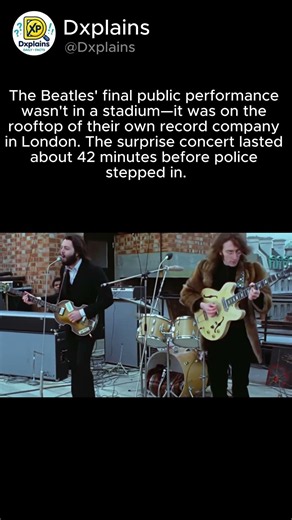 The Beatles' Final Concert Was on a Rooftop 😳