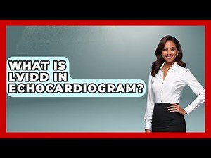 What Is LVIDD In Echocardiogram? - Cardiology Community