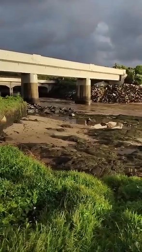 110K views · 16 reactions | KwaZulu-Natal South Coast, Port Shepstone We have had rain on 54 days out of the 113 days of the year so far. January 238mm over 15 days February 285mm over 17 days March 185mm over 8 days April 350mm over 14 days so far! Clare Rieveswel | We Are South Africans | Facebook