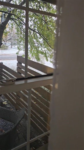 First snow fall! ❄️ 🌨️ Are you excited or not? ☃️ #snowfall | Nicole Pretty, Realtor - Home Tips, Tricks & Picks - Royal LePage NRC