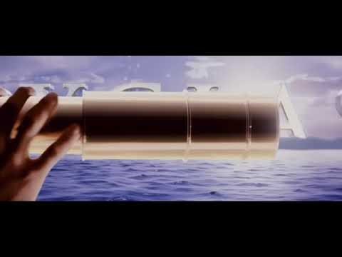 Touchstone Pictures/Spyglass Entertainment (2010)